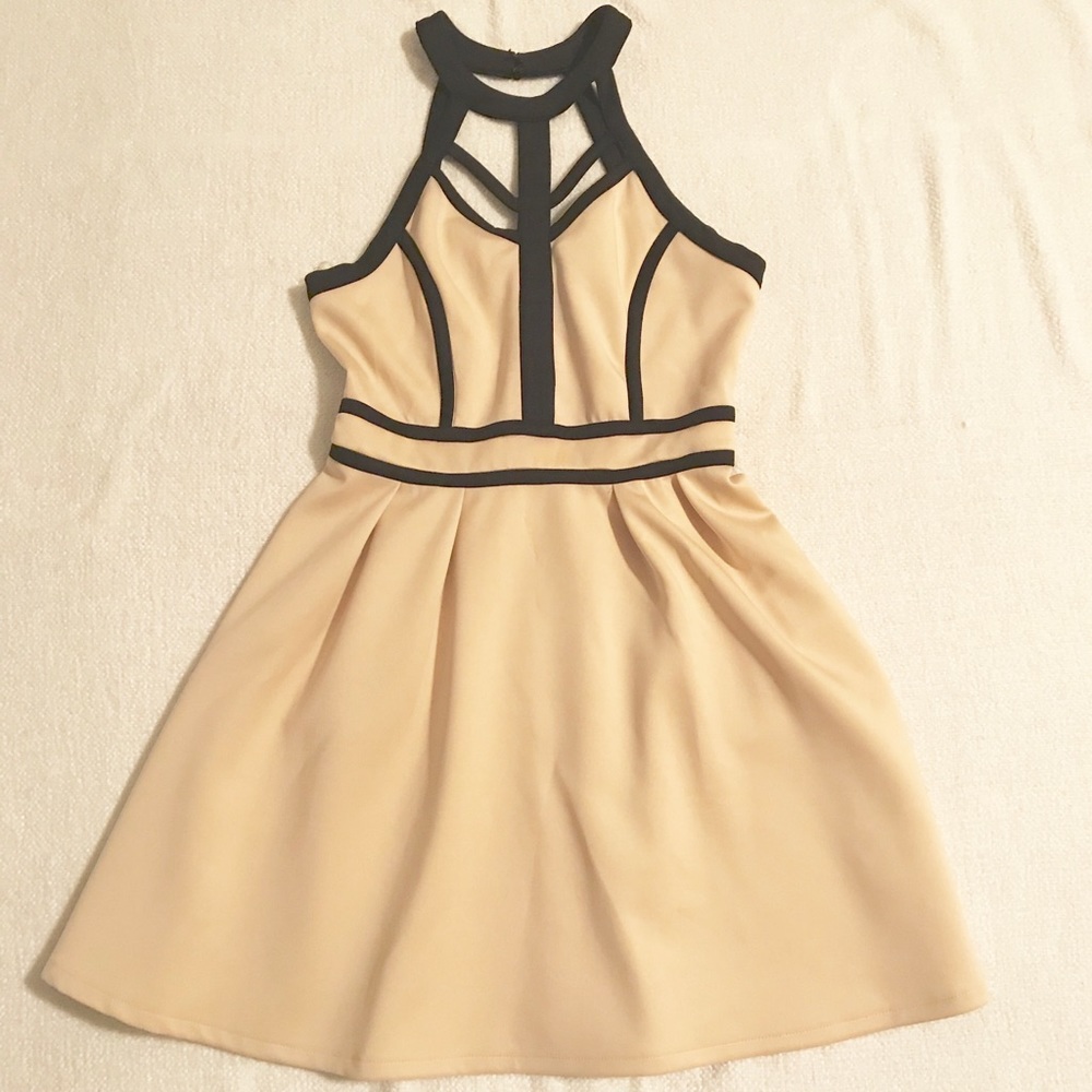 Tobi Black and Tan Cocktail Dress